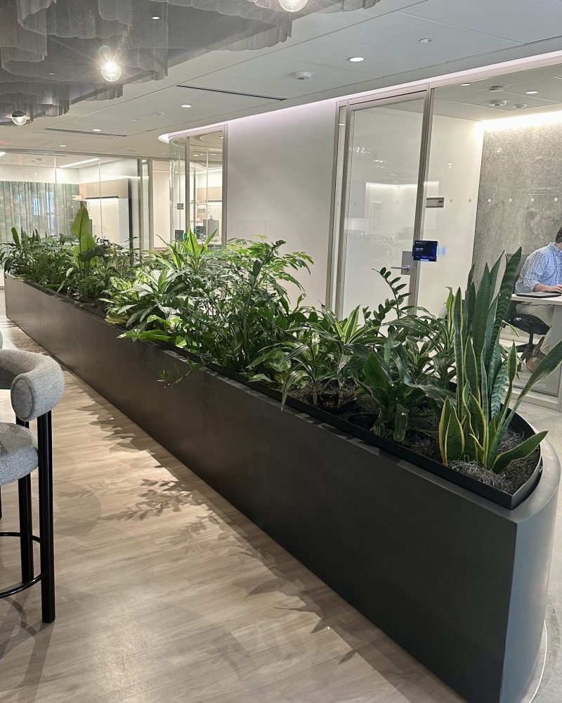 Indoor hall planted with tropical foliage