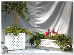Chippendale Planters for event rental: Containers & planters