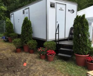 Arborvitaes, hollies, and potted impatiens for event rental: Arborvitaes, hollies & topiaries