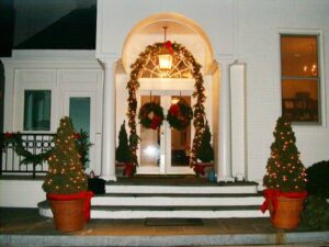 Lighted Arborvitaes for event rental: Arborvitaes, hollies & topiaries