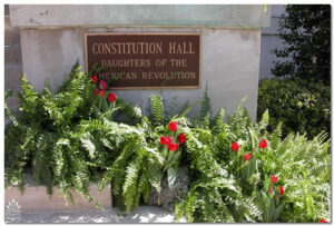 Ferns & Tulips for event rental: Foliage, ferns & flowering