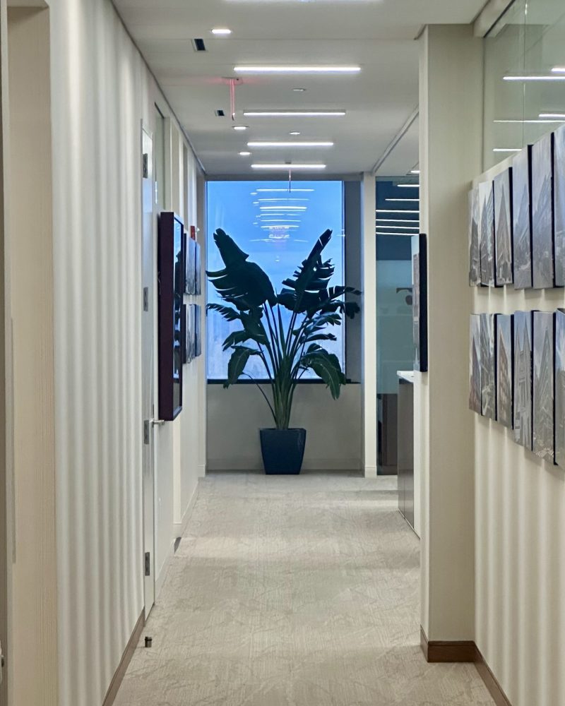 Eagle Bank: Entry hall: office plant installation by Plants Alive, DC metro